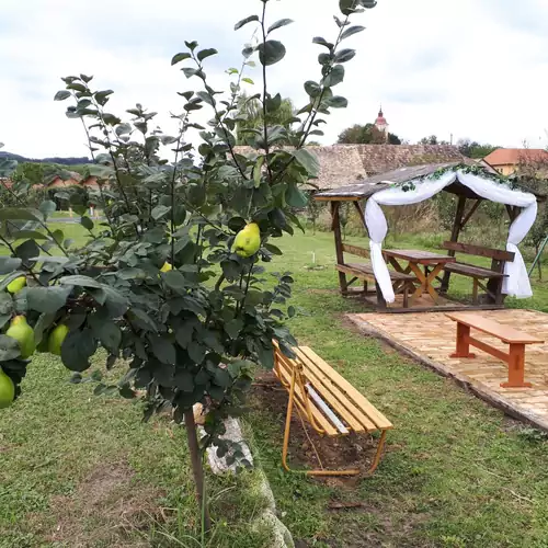 Hangonyi Pizzéria és Vendégház Hangony 068 kép