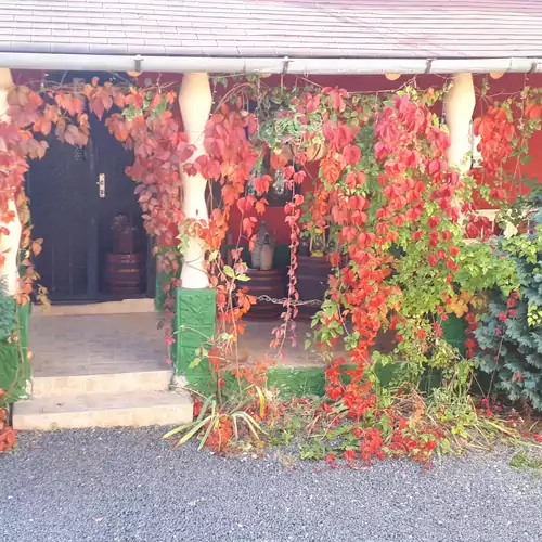 Hangonyi Pizzéria és Vendégház Hangony 054 kép