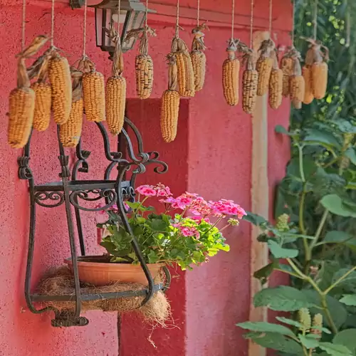 Hangonyi Pizzéria és Vendégház Hangony 098 kép