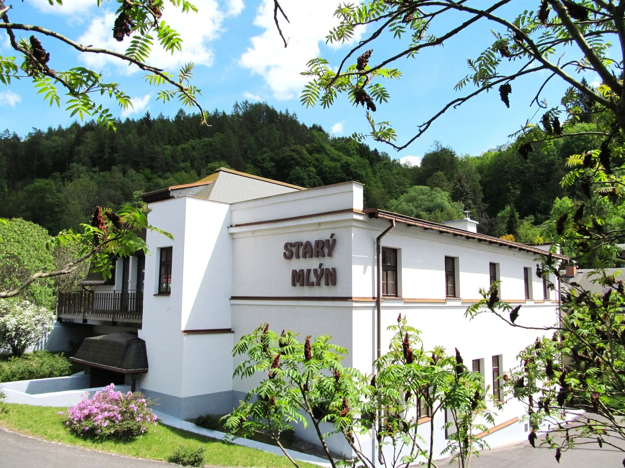 Hotel Starý Mlýn Železný Brod