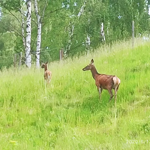 každodenn&iacute; n&aacute;v&scaron;těva