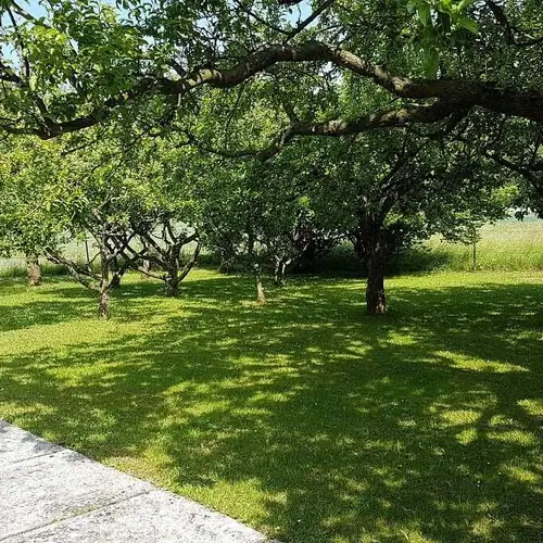 Zahrada.