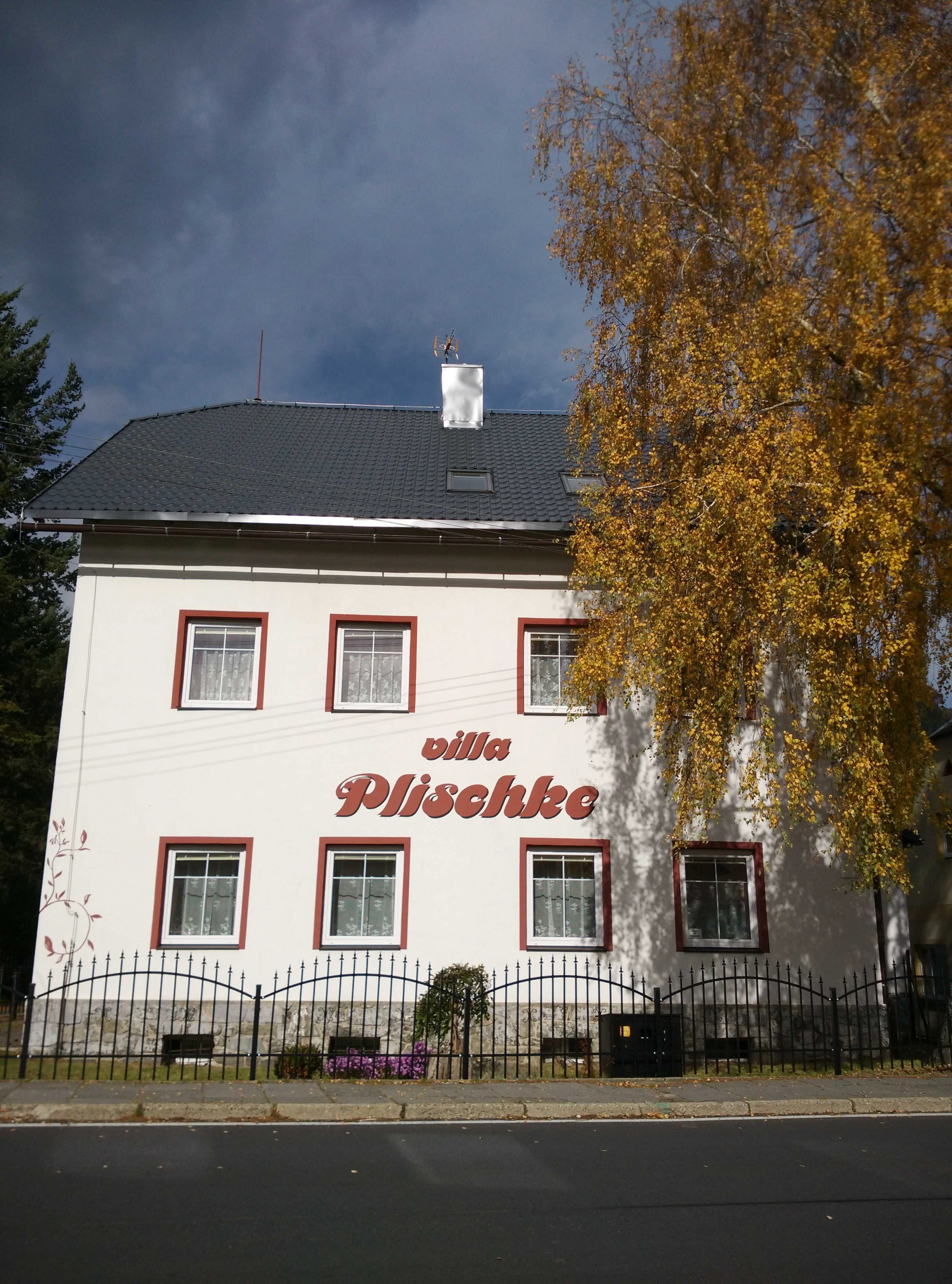Villa Plischke Lipová-lázně