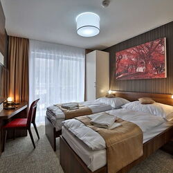 Hotel Alexander Bardejovské Kúpele