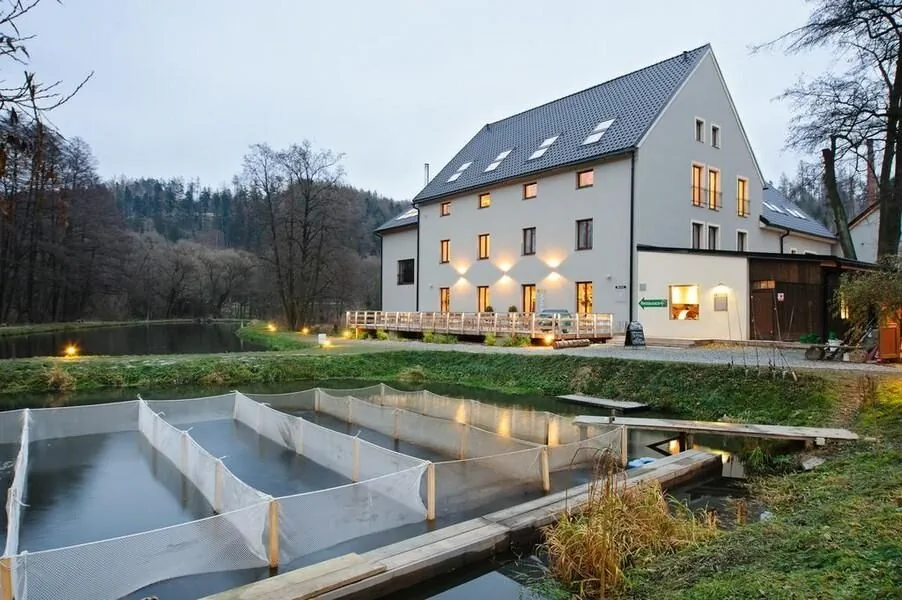 Davidův mlýn Staré Těchanovice