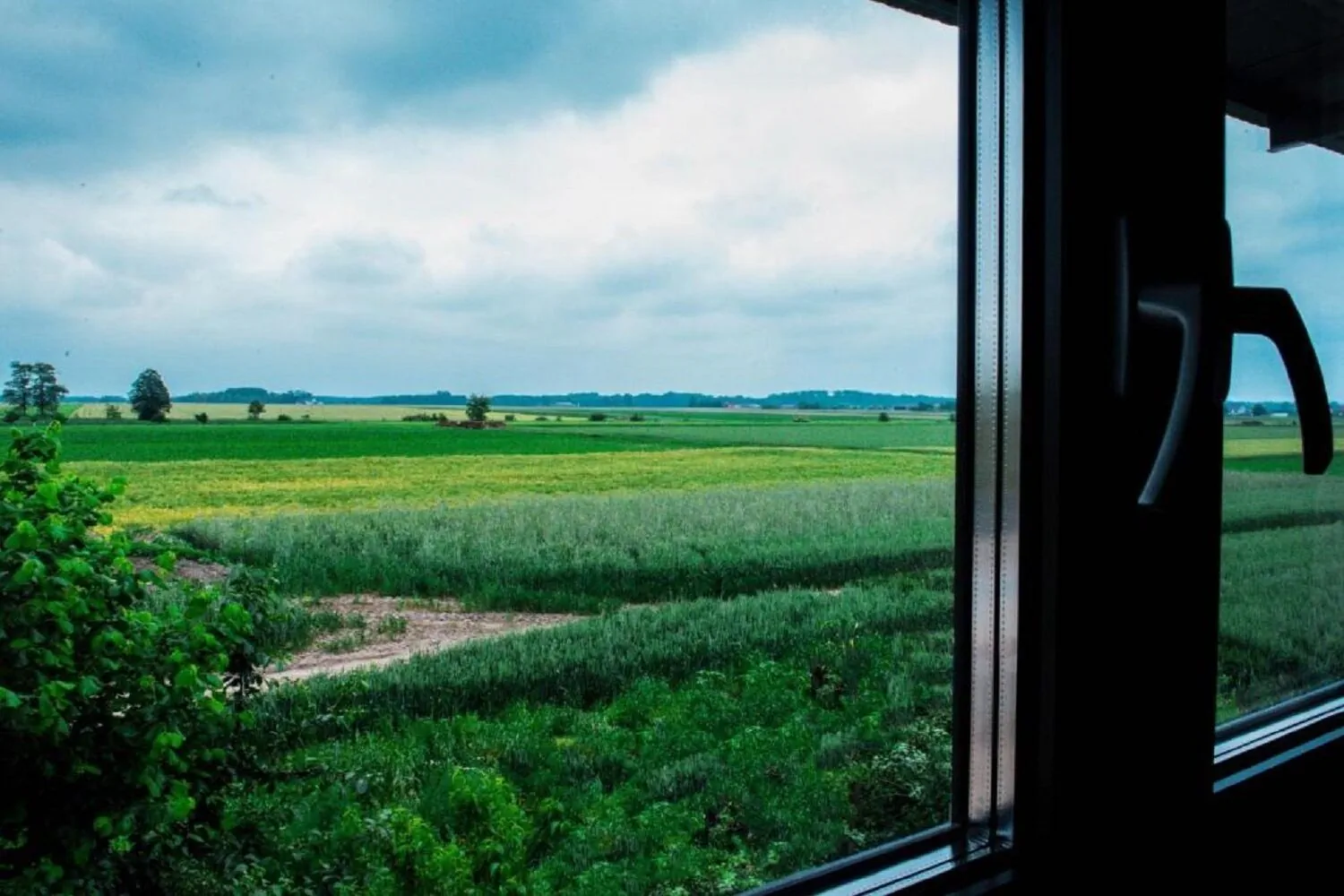 Pasieka Smakulskich Pakosław 