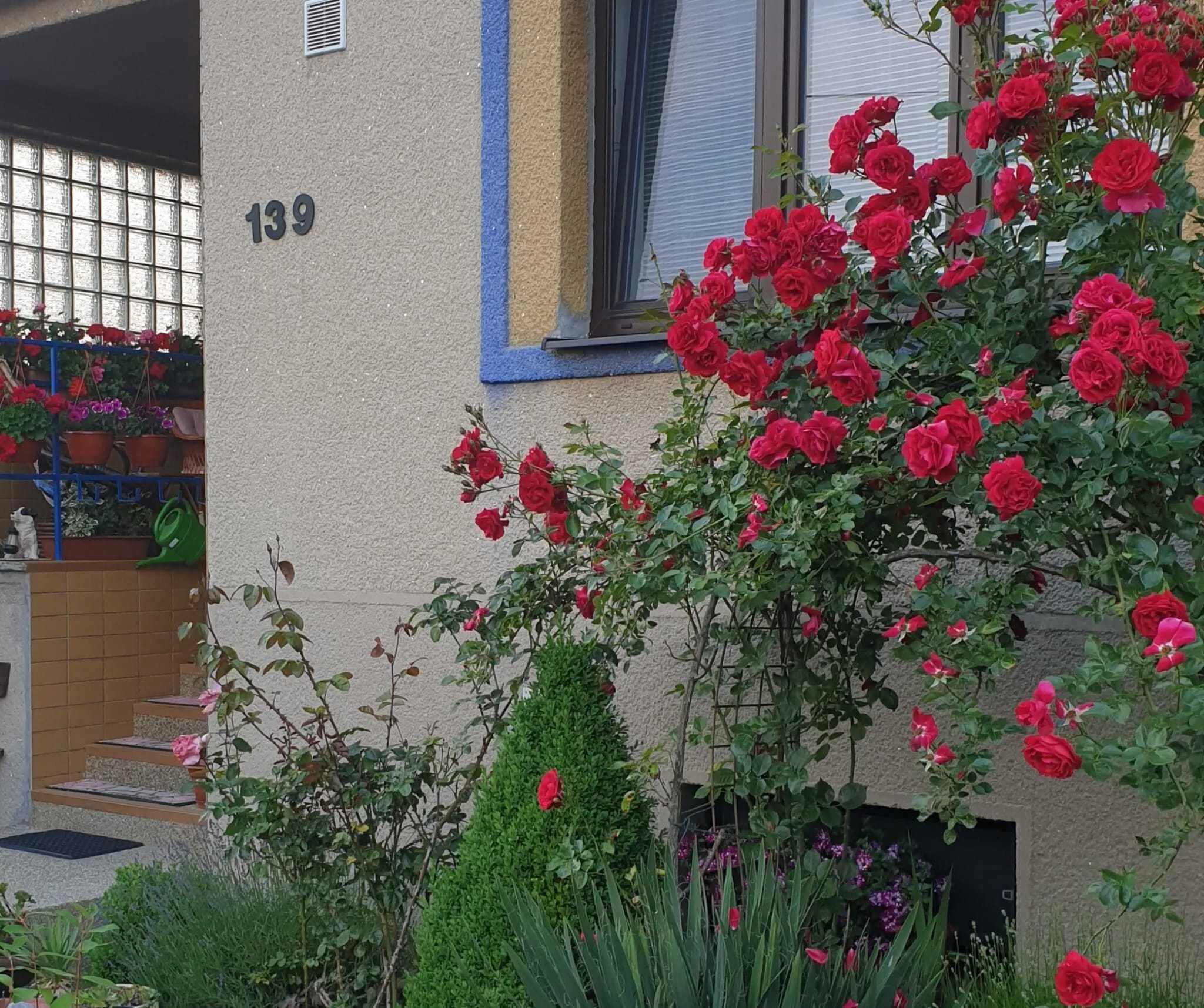 Vila Imagina Ratboř