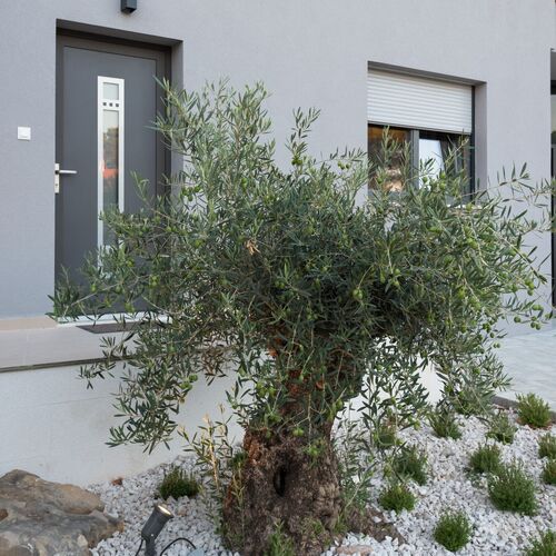 Croatica Suites Brodarica  3