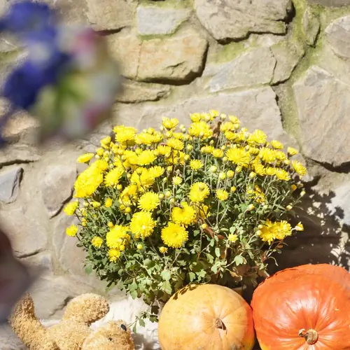 Podzim je tu kouzeln&yacute; :)