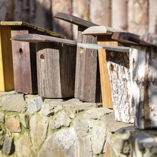 Pension pro zpěv&aacute;čky :)