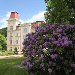 Hotel Tereza Karlovy Vary