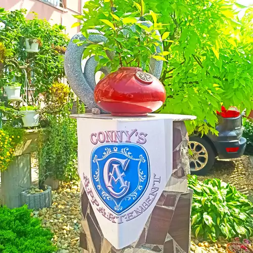 Connys Apartman Tiszavasvári 021 kép