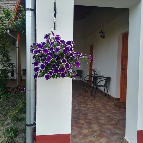 Az udvarról a tornácra