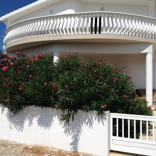 Apartman Marta Vir  2