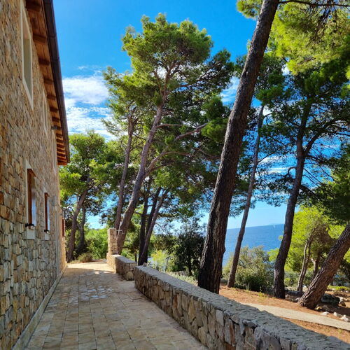 Villa Centovi Dvori Drvenik Veliki  4
