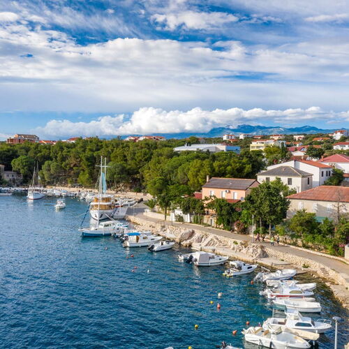 Apartments Olive i Lavender Mandre  3