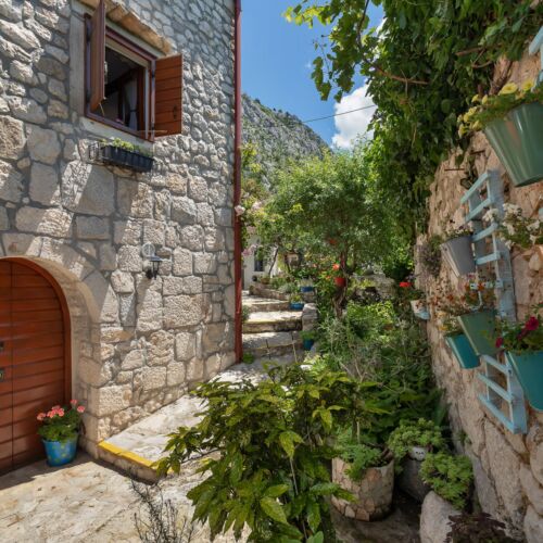 House Olive Tucepi  3