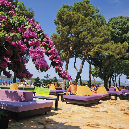 Apartments Karneol Biograd  3