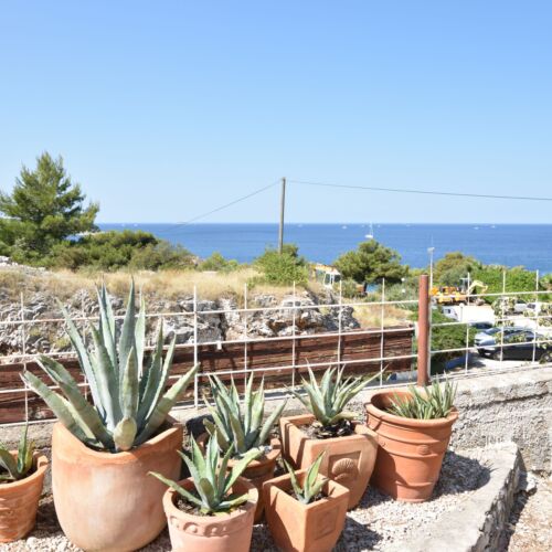 Apartments 2M Dolac  4