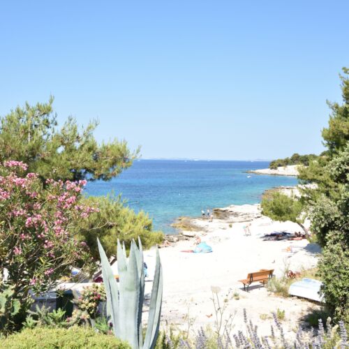 Apartments 2M Dolac  3