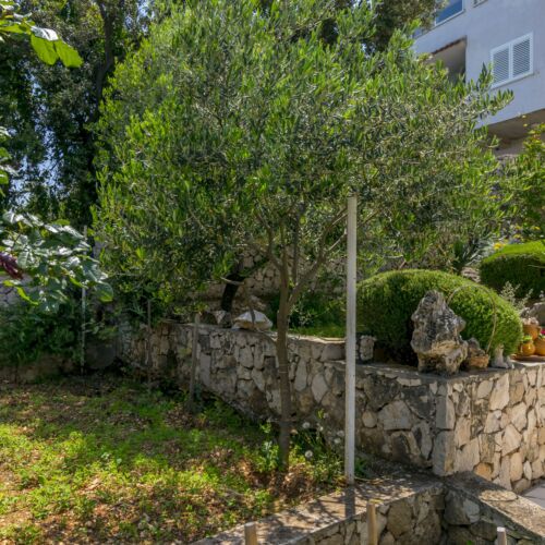 Apartments Božo Kanica  3