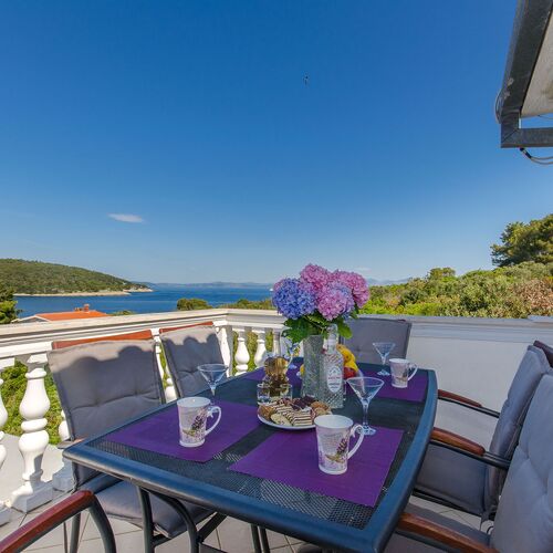 Apartment Zvonimir Necujam