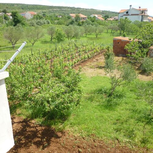 Apartment Rada Posedarje