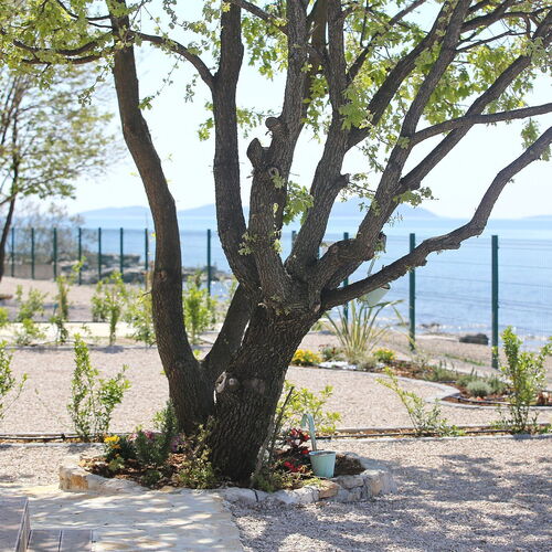 Mobile home Frangipani 3 Biograd  4