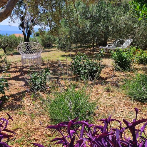 Apartment Robinzon Lantana Gdinj  4