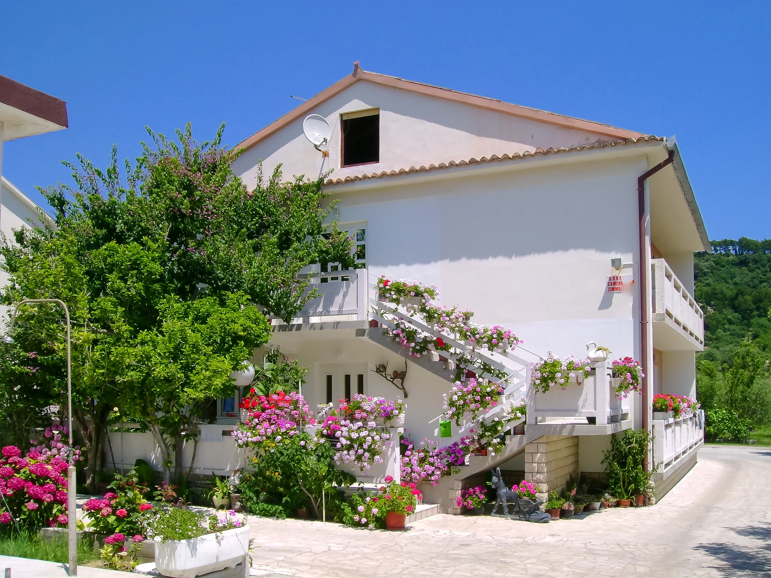 Apartments Rezika Palit