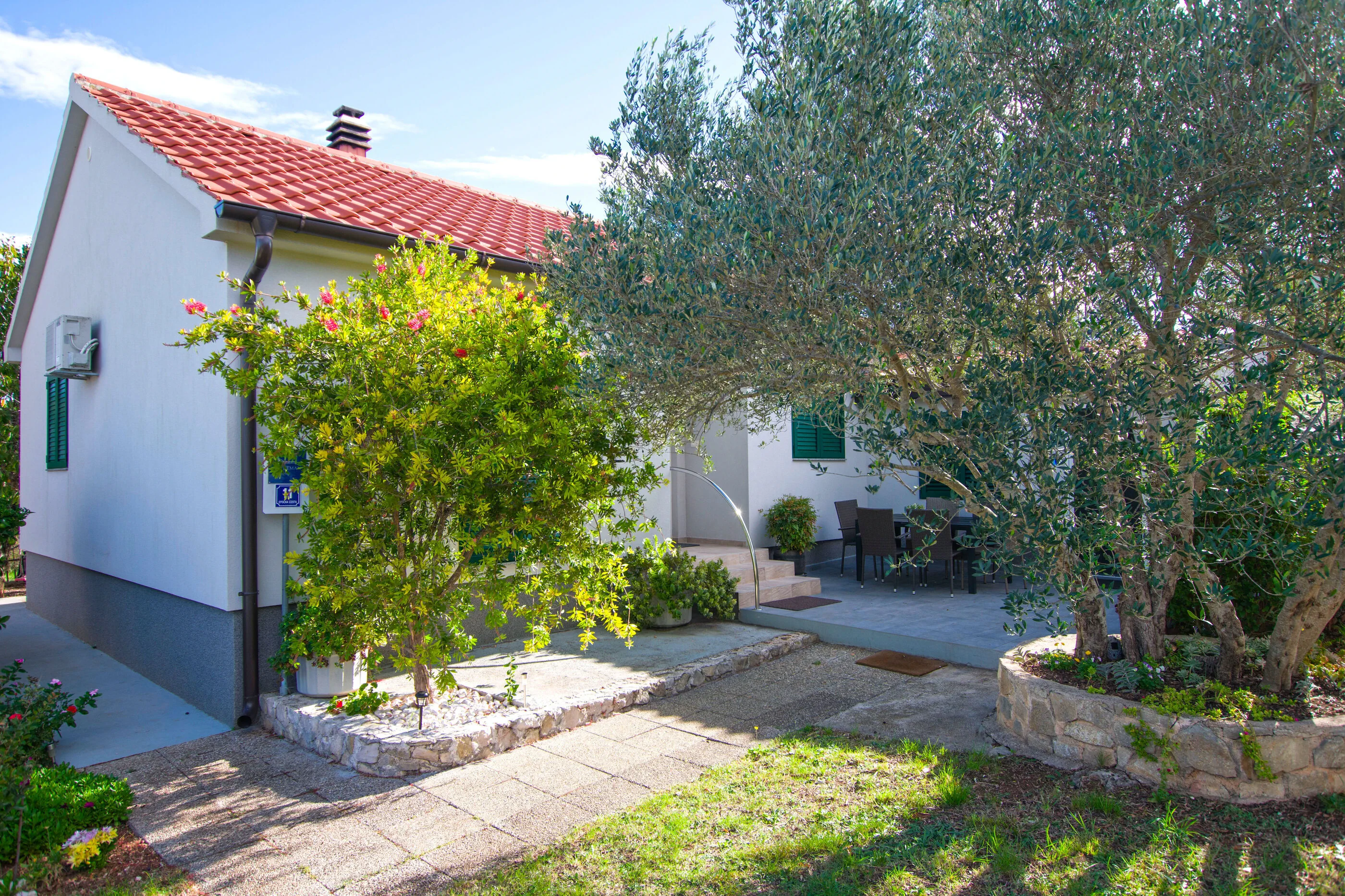 House Pansy Pasman