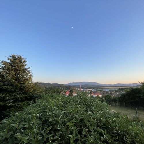 Kil&aacute;t&aacute;s a toronyb&oacute;l