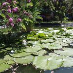 Wellness részleg, relaxáció