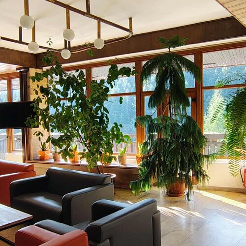 Hol/Recepcja Hotelu***NAT Piwniczna Zdr&oacute;j