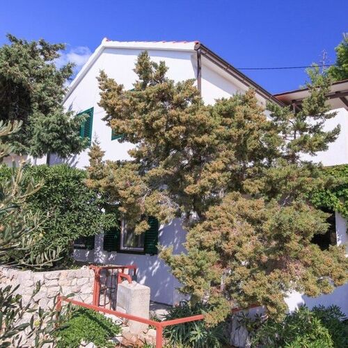 Robinson House Stevica Velo Zaraće  2