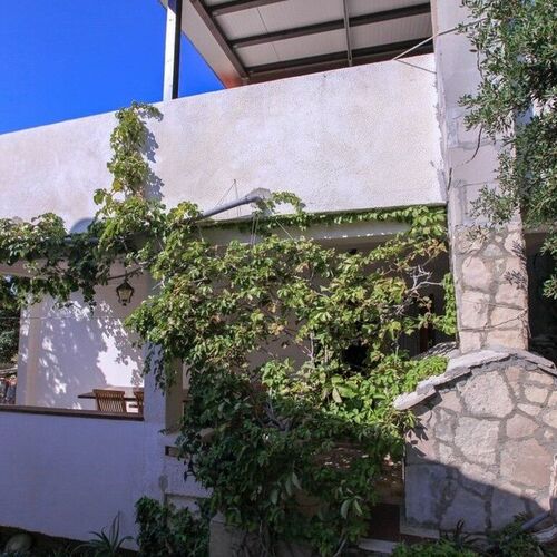 Robinson House Stevica Velo Zaraće  4