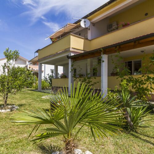 Apartments Ivica Palit  4