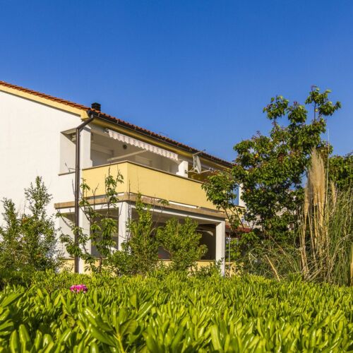 Apartments Ivica Palit  3