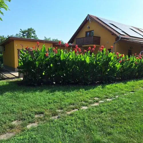 Kaptárlevegős Vendégház Füzesgyarmat 042 kép