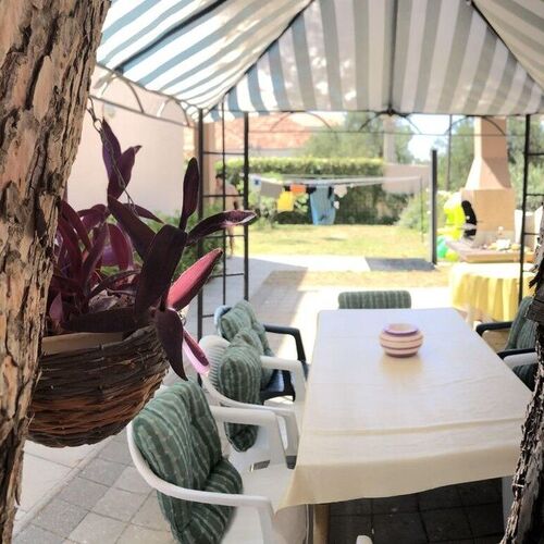 Apartments Dante Vrsi  3