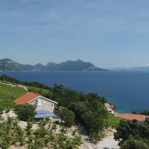 Robinson House Dingač Trstenik  4