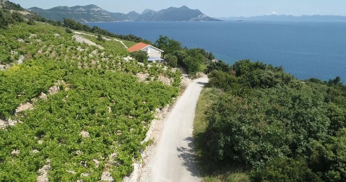 Robinson House Dingač Trstenik