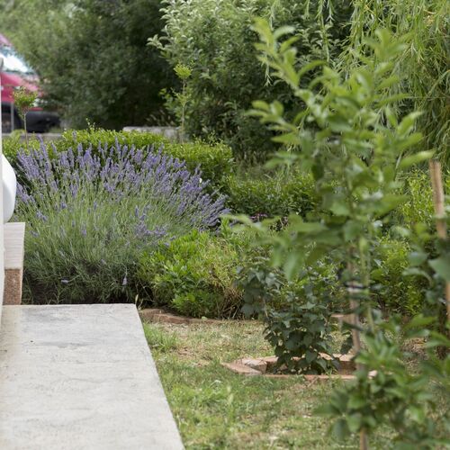 Apartmani Julijana Lopar  4