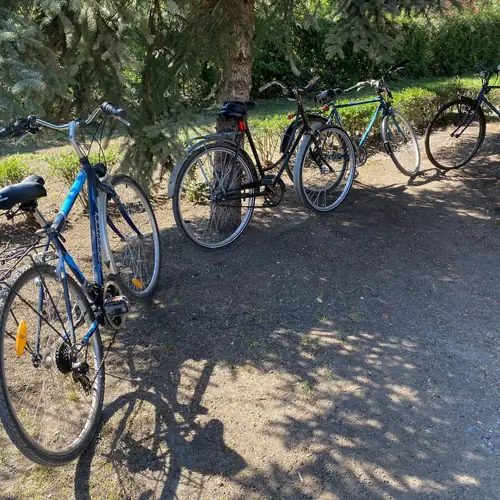 A bicikliparkunk. K&ouml;z&ouml;tte k&eacute;t igazi k&uuml;l&ouml;nlegess&eacute;g: egy-egy női &eacute;s f&eacute;rfi, 60 &eacute;ves fel&uacute;j&iacute;tott eredeti Csepel ker&eacute;kp&aacute;r.