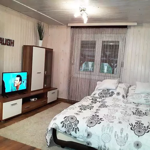Tiszalöki Apartmanház Tiszalök 010 kép