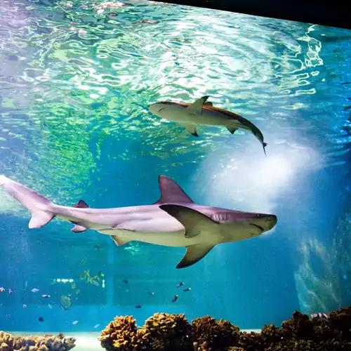 Tiszalöki Apartmanház Tiszalök 013 kép