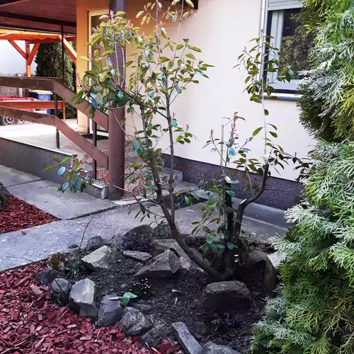 Tiszalöki Apartmanház Tiszalök 004 kép