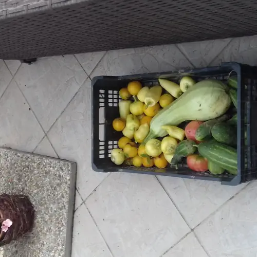 A kert term&eacute;se