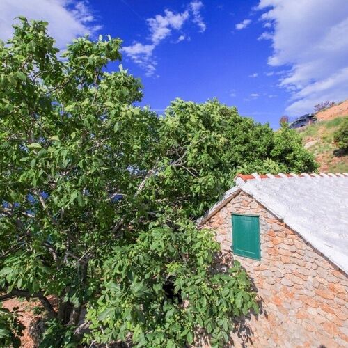 Robinson House Capitano Bol  2