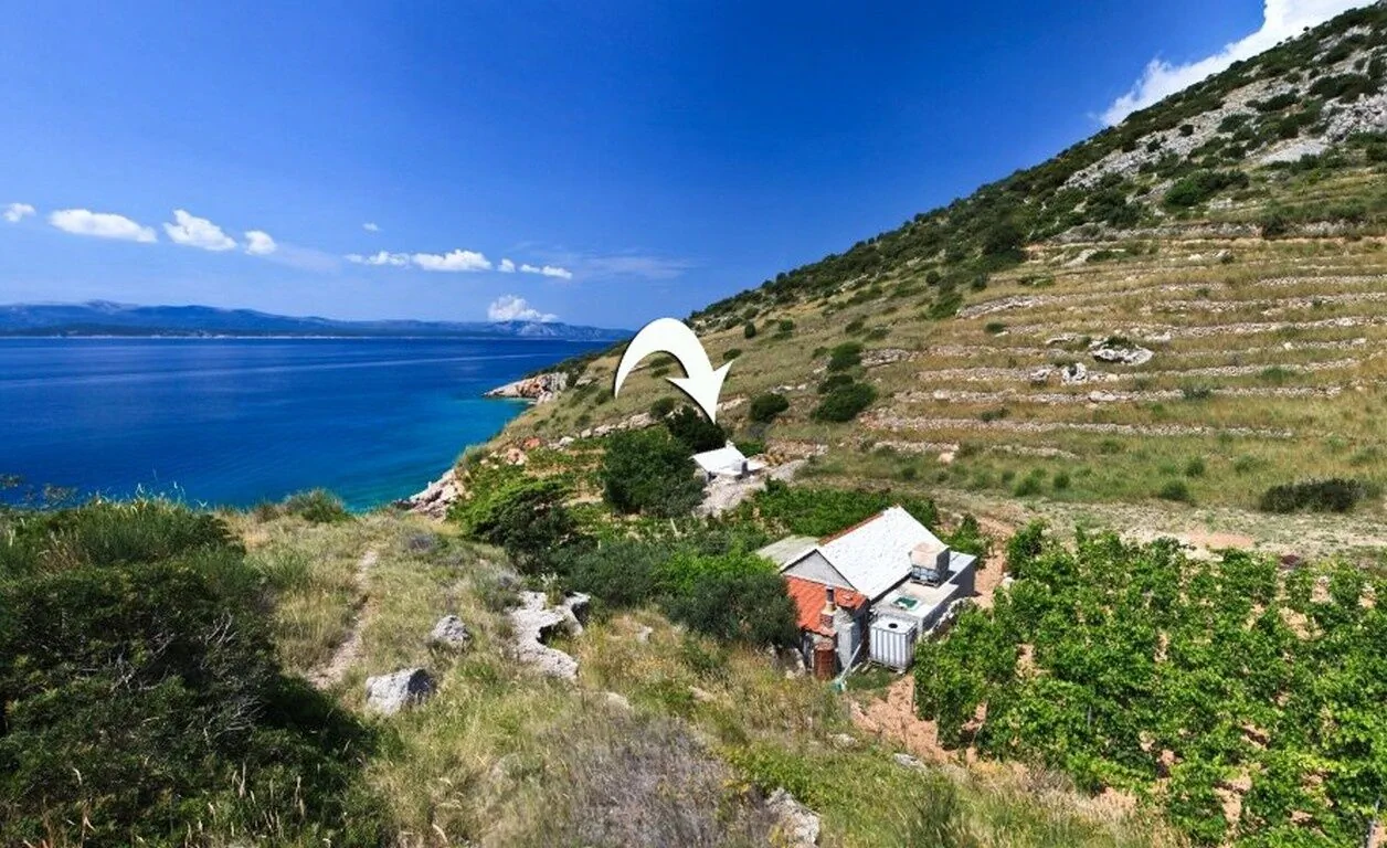 Robinson House Capitano Bol